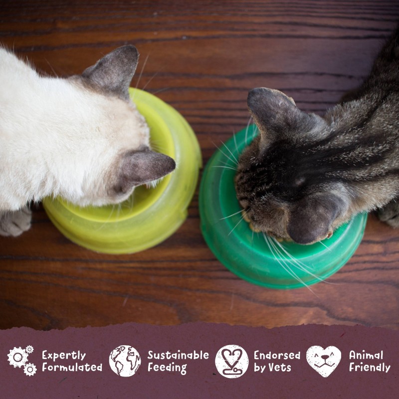 Benevo Original za mačke