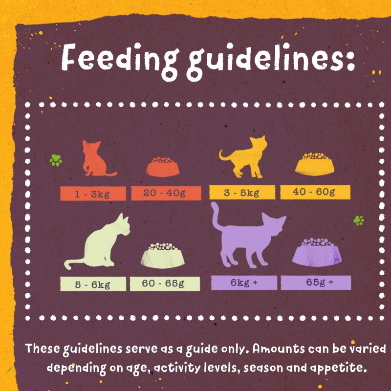 Benevo Original za mačke