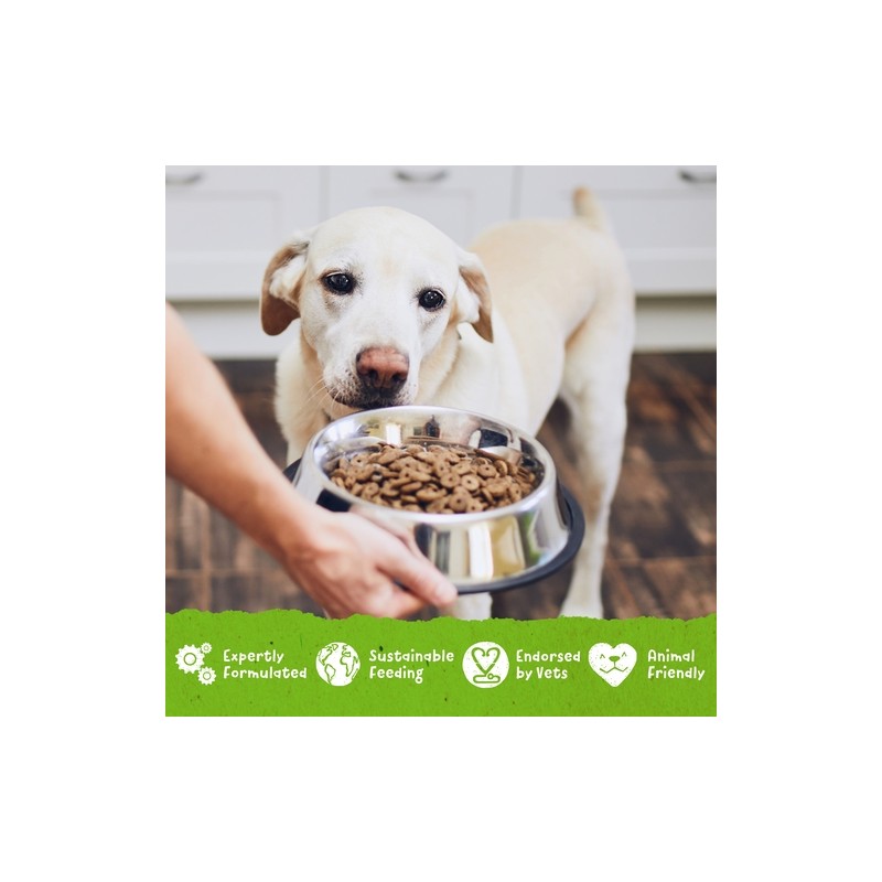 Benevo Original za odrasle pse