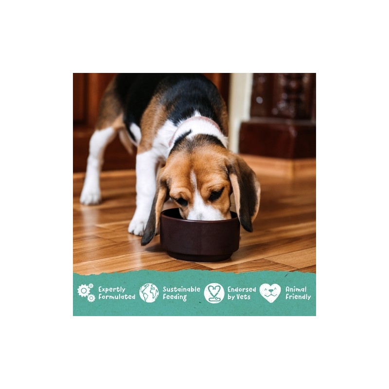 Benevo Original Puppy hrana za štenad