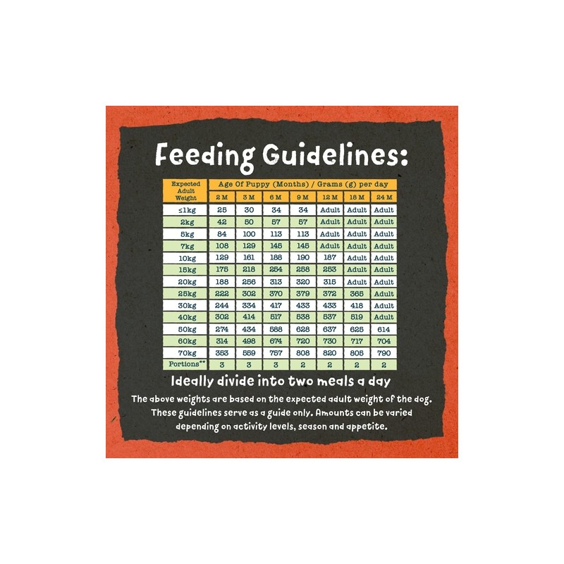 Benevo Original Puppy hrana za štenad