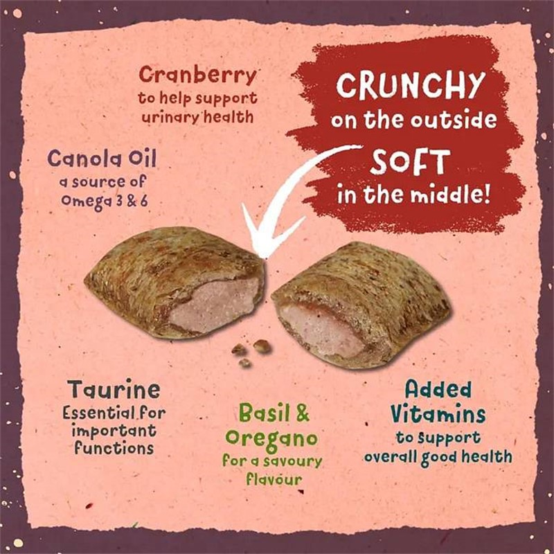 Benevo D’Lishies SAVOURY ROAST 65 g