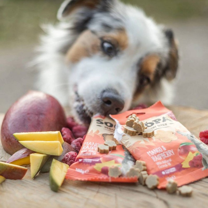 Soopa Bites Mango i malina 50g