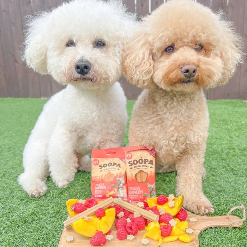 Soopa Dentals Mango in malina 100g