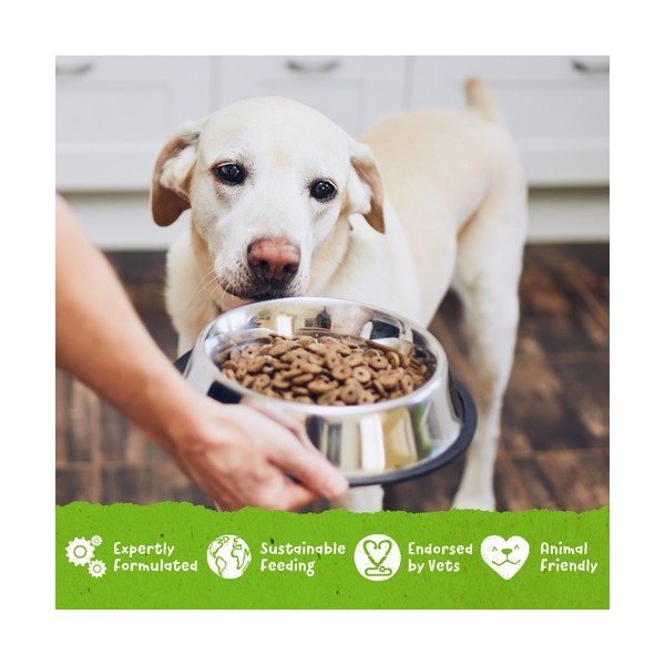 Benevo Original za odrasle pse