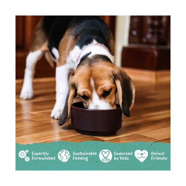 Benevo Original Puppy hrana za štenad