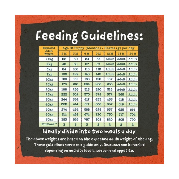 Benevo Original Puppy hrana za štenad