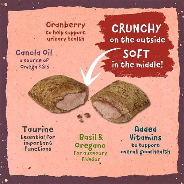 Benevo D’Lishies SAVOURY ROAST 65 g