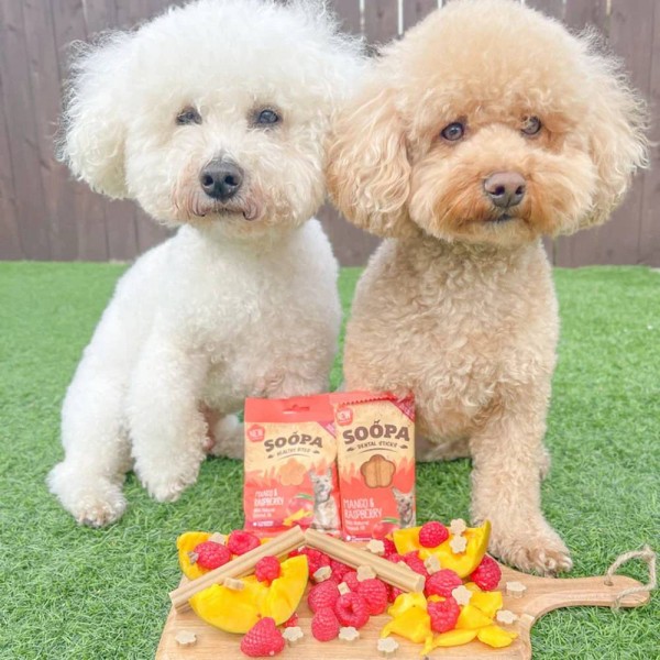 Soopa Dentals Mango in malina 100g