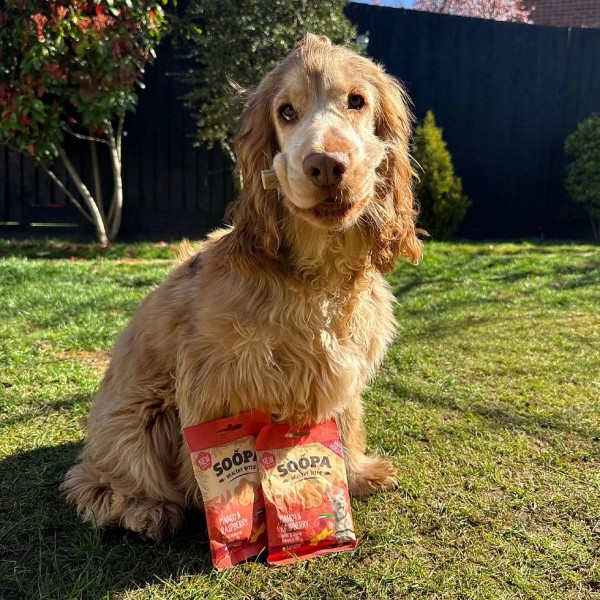 Soopa Bites Mango i malina 50g