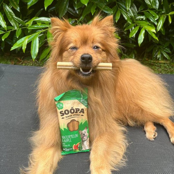 Soopa Dentals Lubenica i jabuka 100g