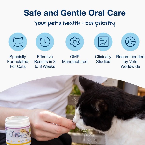 ProDen PlaqueOff Soft Chews za mačke