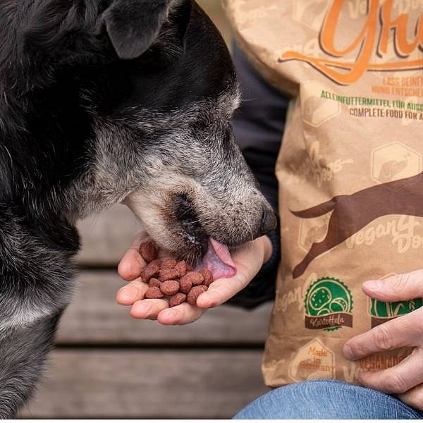 Vegan4Dogs briketi Greta regular