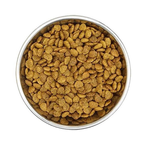 Benevo Original za mačke