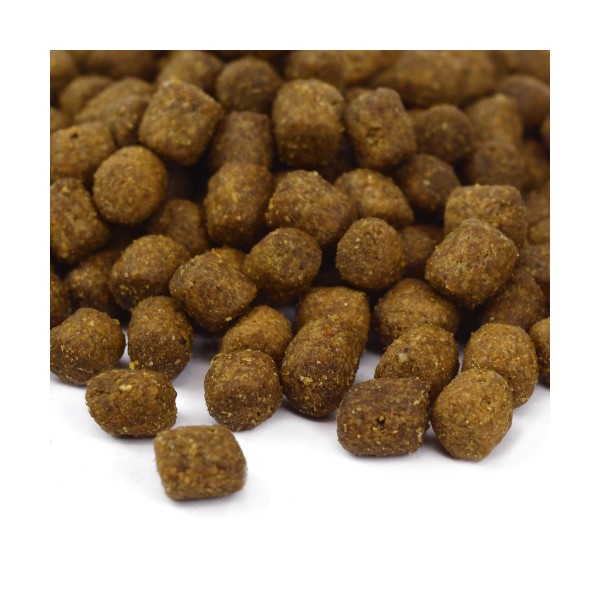 Benevo Original Puppy hrana za štenad