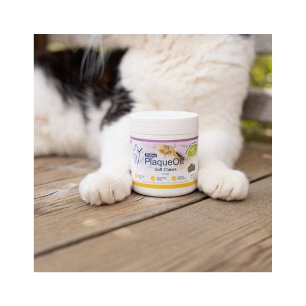 ProDen PlaqueOff Soft Chews za mačke