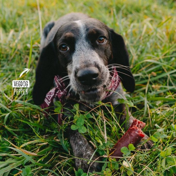 Vegdog Chevvies XL 200g