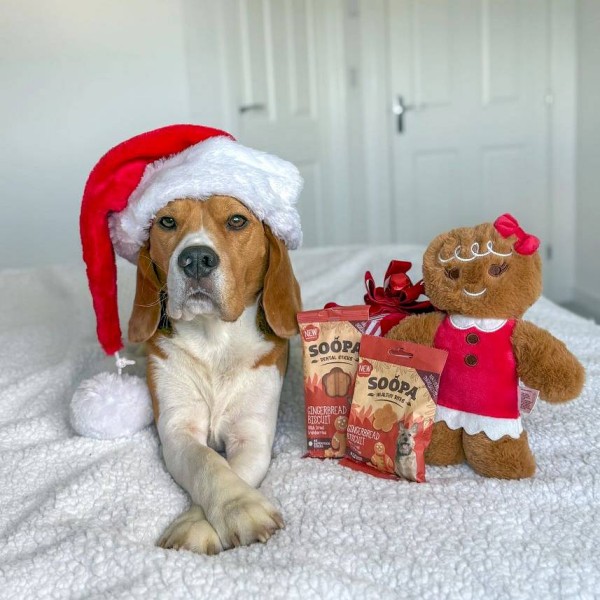 Soopa Dentals Ingverjevi piškoti 100g