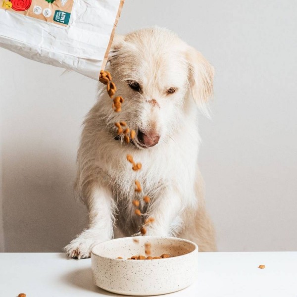 Vegdog Simply Crunch briketi za pse