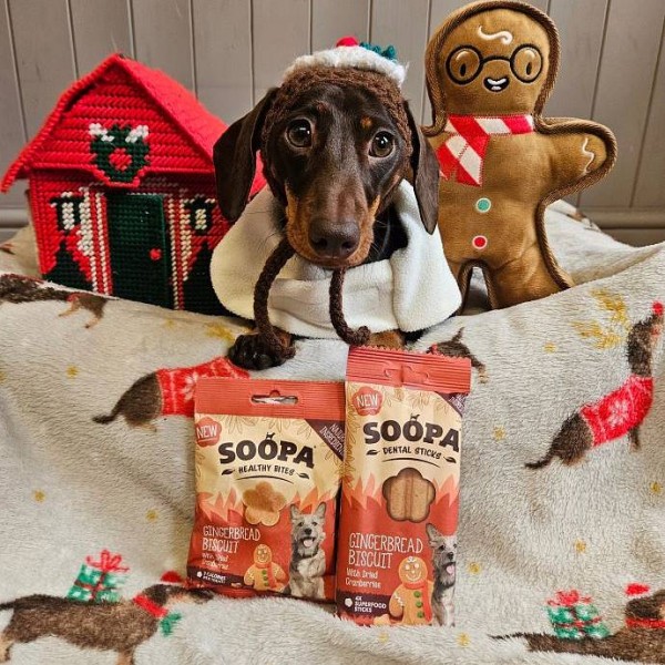 Soopa Bites Ingverjevi piškoti 50g