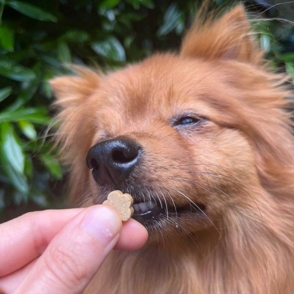 Soopa MINI Bites Banana in buča 50g