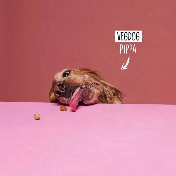 Vegdog Mobilities MINIS 115g