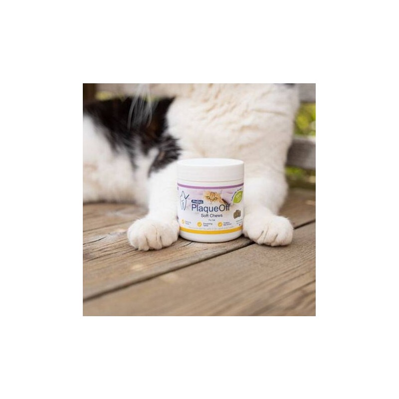 ProDen PlaqueOff Soft Chews za mačke