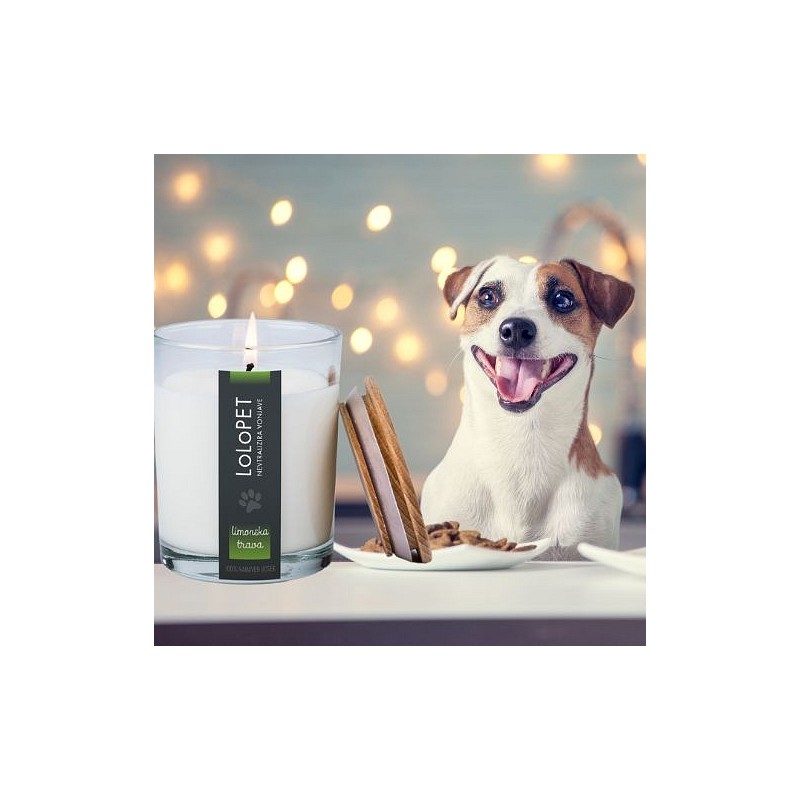LoLoPET sveča Limonska trava