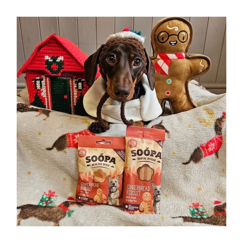 Soopa Bites Ingverjevi piškoti 50g