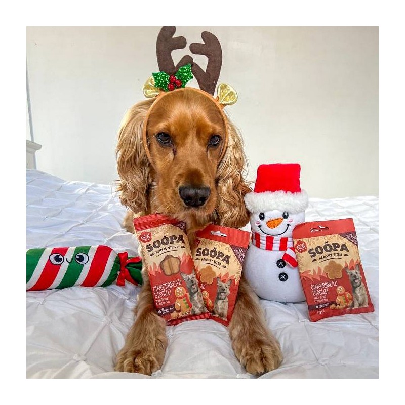 Soopa Bites Ingverjevi piškoti 50g
