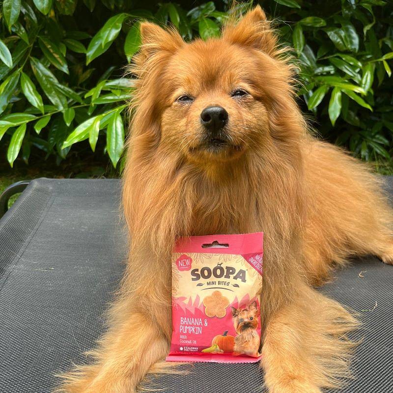 Soopa MINI Bites Banana in buča 50g