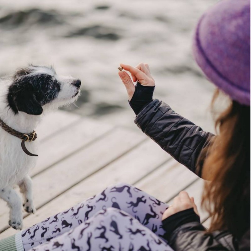 Vegdog Mobilities MINIS 115g