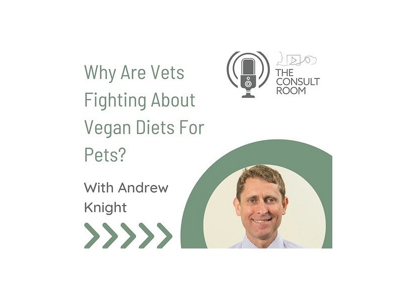 Why Are Vets Fighting About Vegan Diets For Pets?