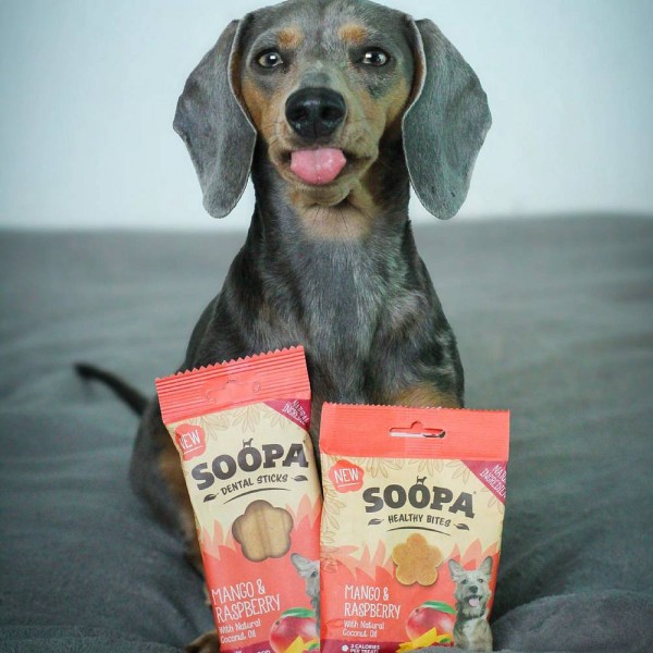 Soopa Bites Mango in malina 50g