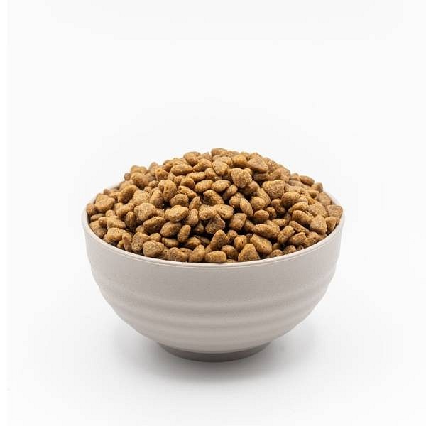 Vegan cat food