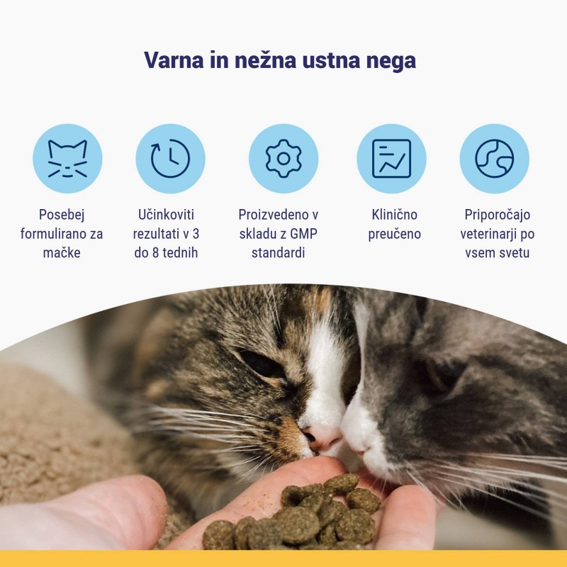 ProDen PlaqueOff Dental Bites za mačke 60g